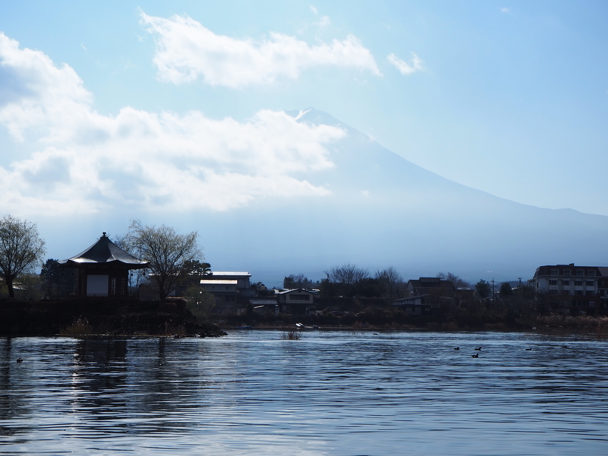 f:id:y44kura720:20201126203436j:plain