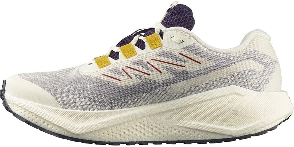 サロモン AERO BLAZE