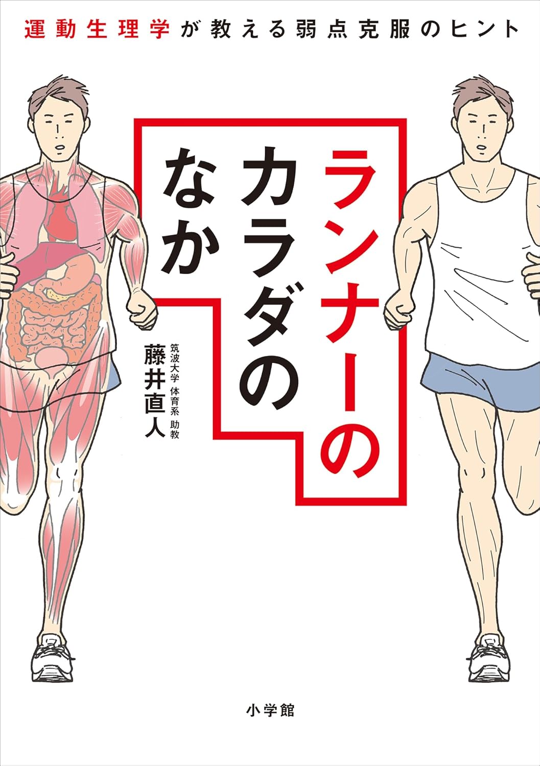 ランナーのカラダのなか